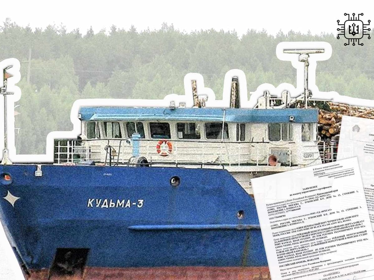 Появилась информация, что турецкое судно везет в Израиль украденное украинское зерно - будем есть ворованное?