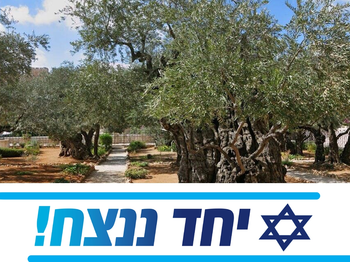 новости Израиля Хаг Ту би-Шват самеах! Воюющий Израиль отмечает еврейский праздник Ту би-шват . Вместе победим!