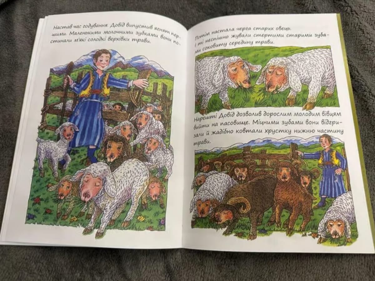 "В Украине не хотим по-русски": перевод ТАНАХа на украинский язык набирает обороты