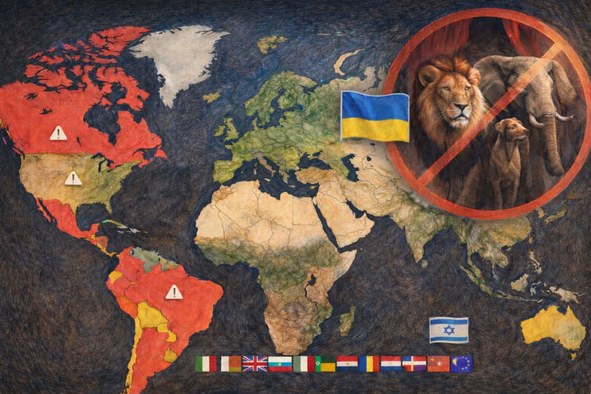 Гуманность под обстрелами: Украина принимает законы о защите животных во время кровопролитной путинской агрессии — по стандартам ЕС и Израиля